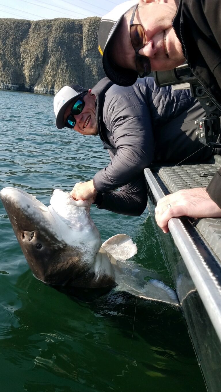 oversized sturgeon fishing