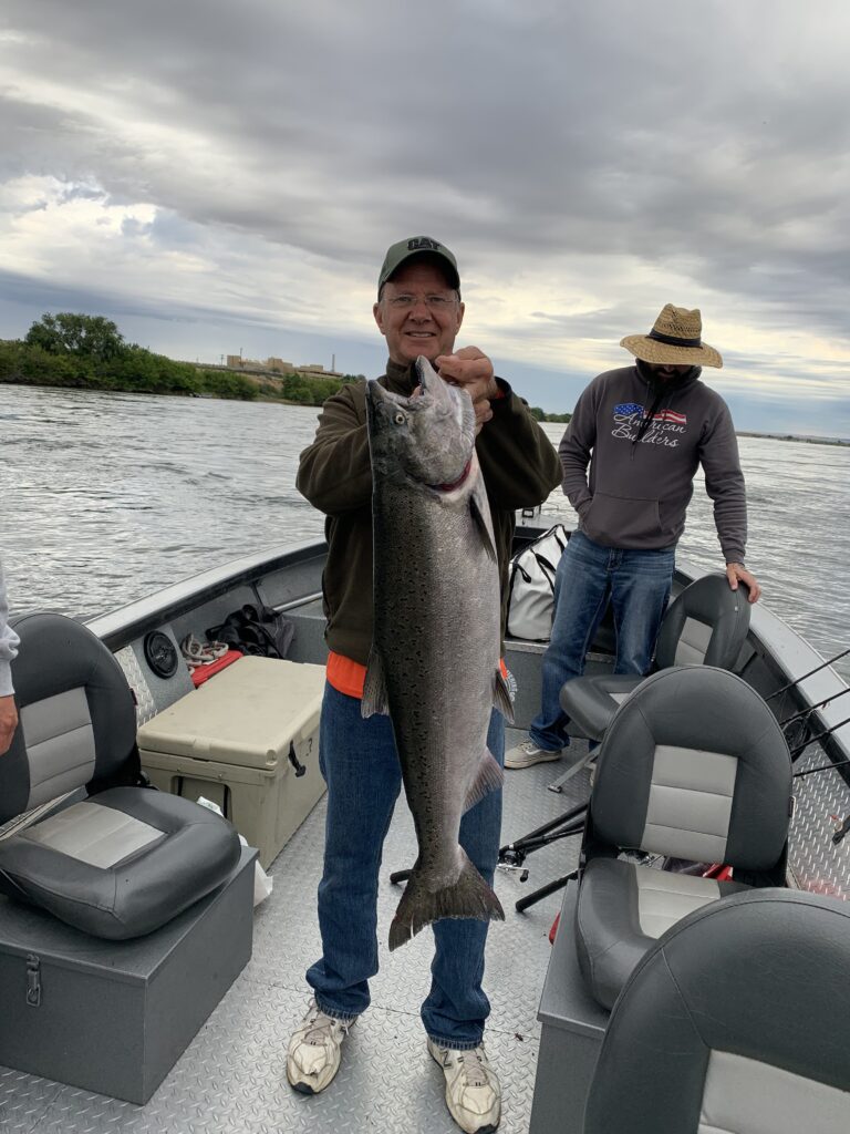 king salmon fishing